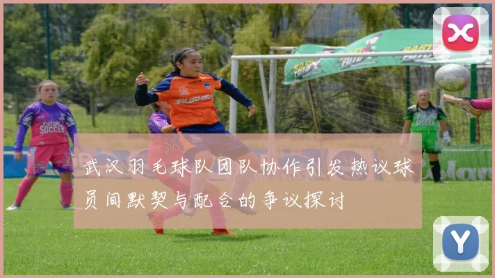 武汉羽毛球队团队协作引发热议球员间默契与配合的争议探讨