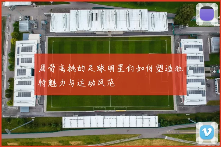 眉骨高挑的足球明星们如何塑造独特魅力与运动风范