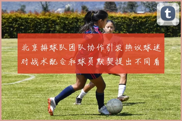 北京排球队团队协作引发热议球迷对战术配合和球员默契提出不同看法