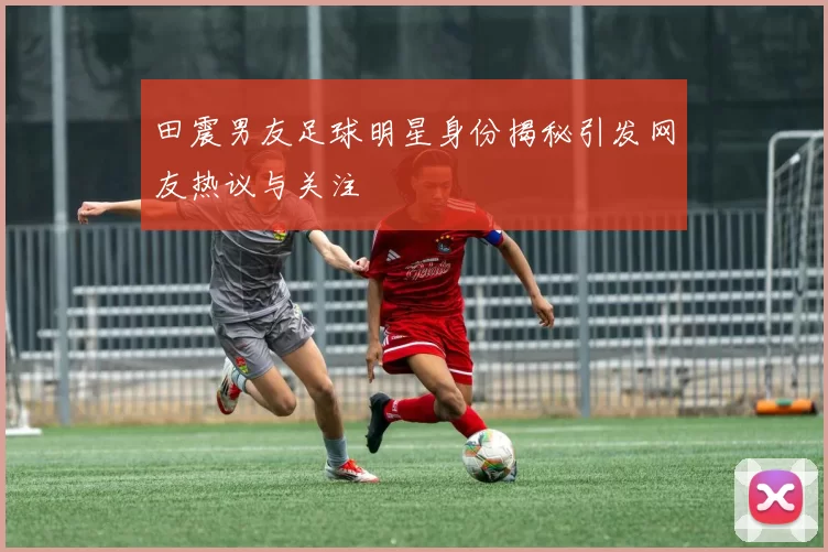 田震男友足球明星身份揭秘引发网友热议与关注