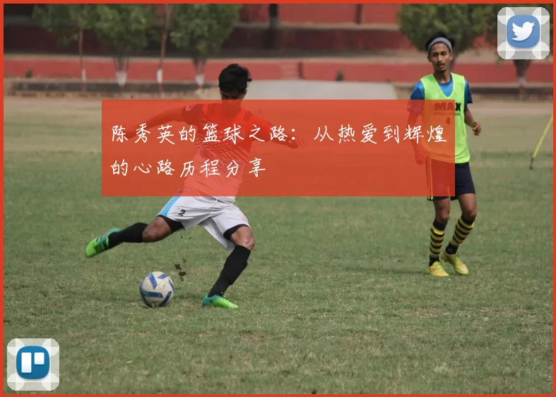 陈秀英的篮球之路：从热爱到辉煌的心路历程分享