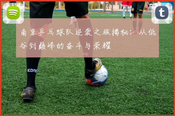 南京乒乓球队逆袭之旅揭秘：从低谷到巅峰的奋斗与荣耀
