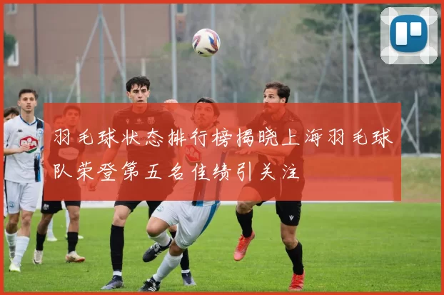 羽毛球状态排行榜揭晓上海羽毛球队荣登第五名佳绩引关注