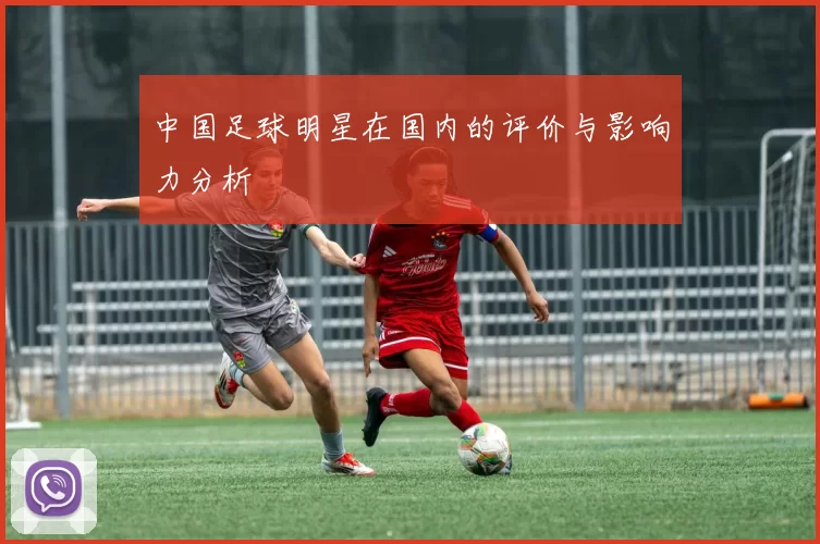 中国足球明星在国内的评价与影响力分析
