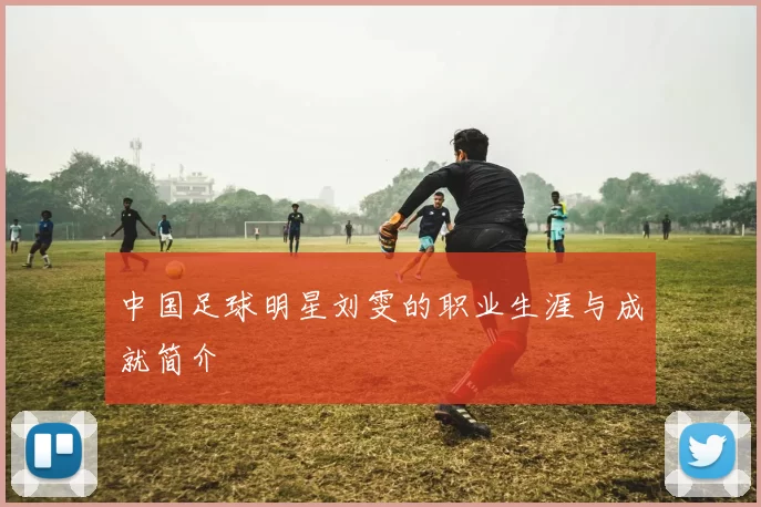 中国足球明星刘雯的职业生涯与成就简介