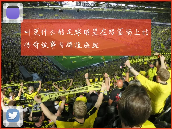 叫莫什么的足球明星在绿茵场上的传奇故事与辉煌成就