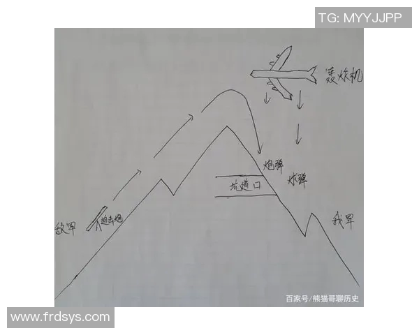深入分析成都排球队防反战术的特点与应用策略
